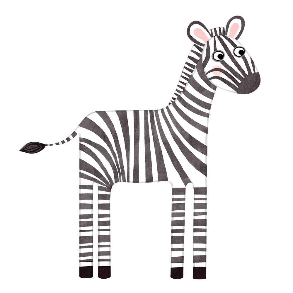 Baby Zebra