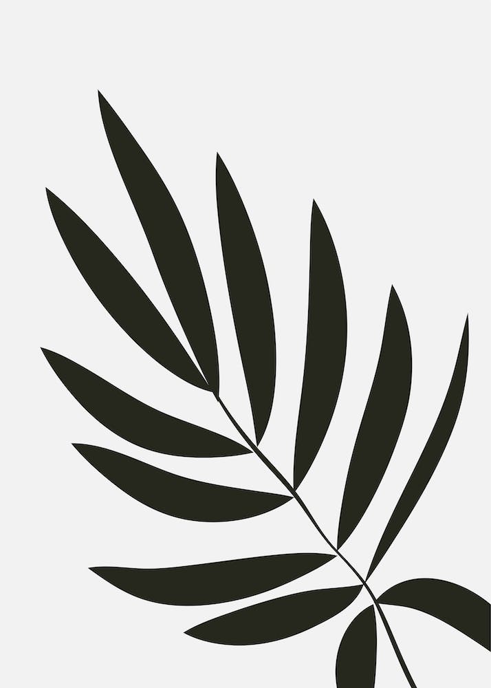Abstract Botanical Black and Beige Art 15