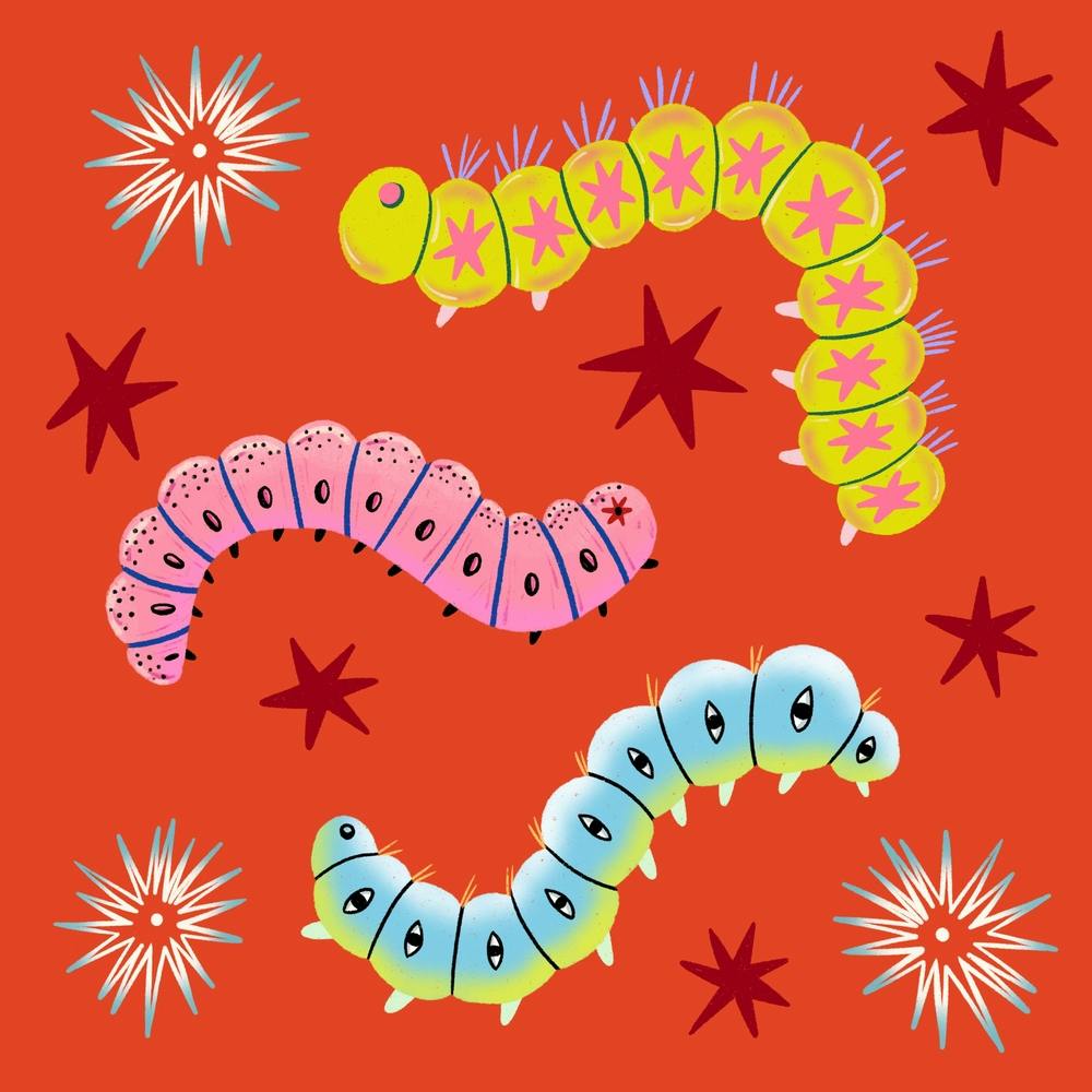 Cute Caterpillars