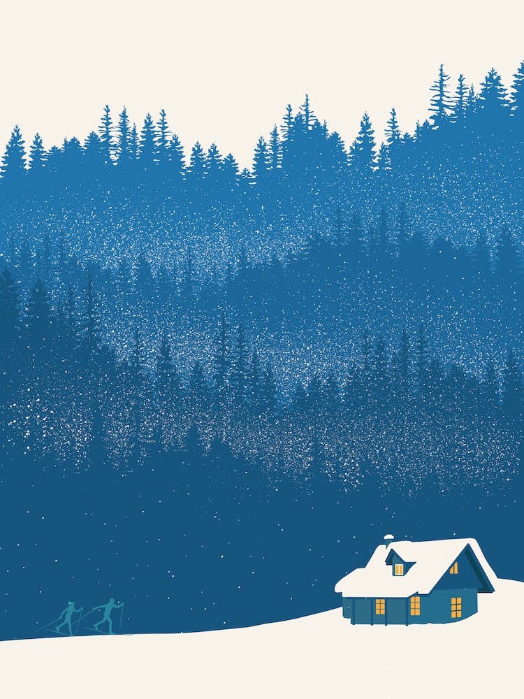 Nordic Ski Scene