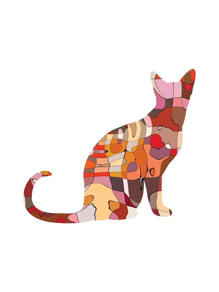 Abstract Cat
