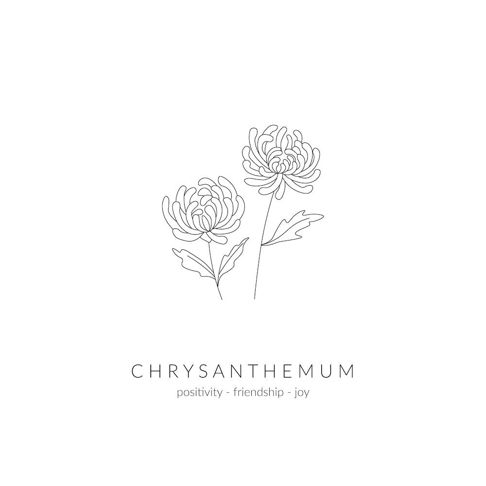 Chrysanthemum Birth Flower Square