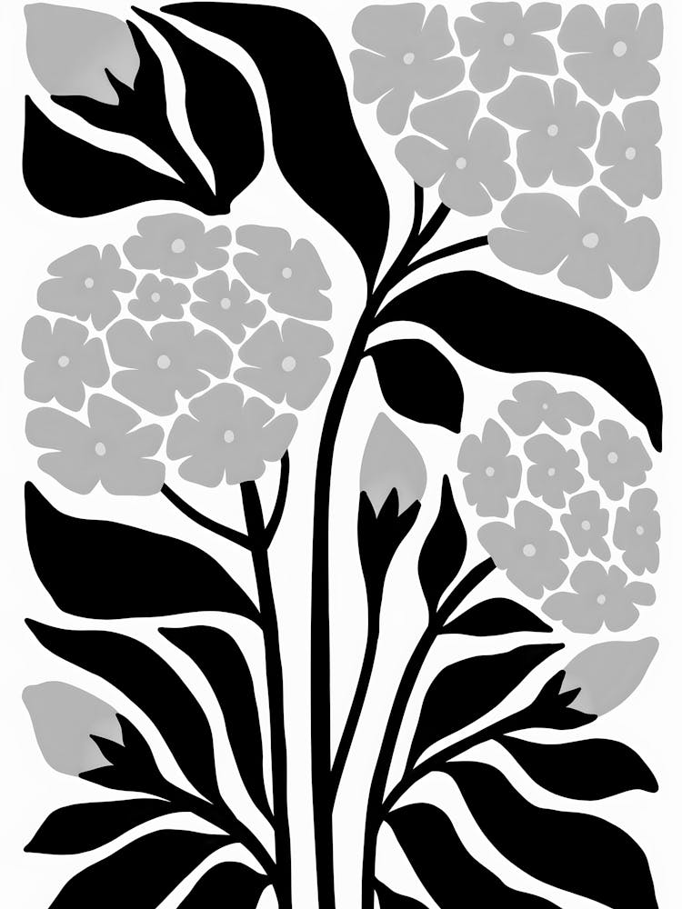 Fleurs Noires Et Blanches 136