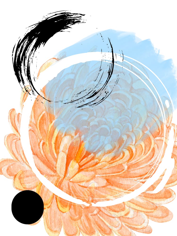 Chrysanthemum