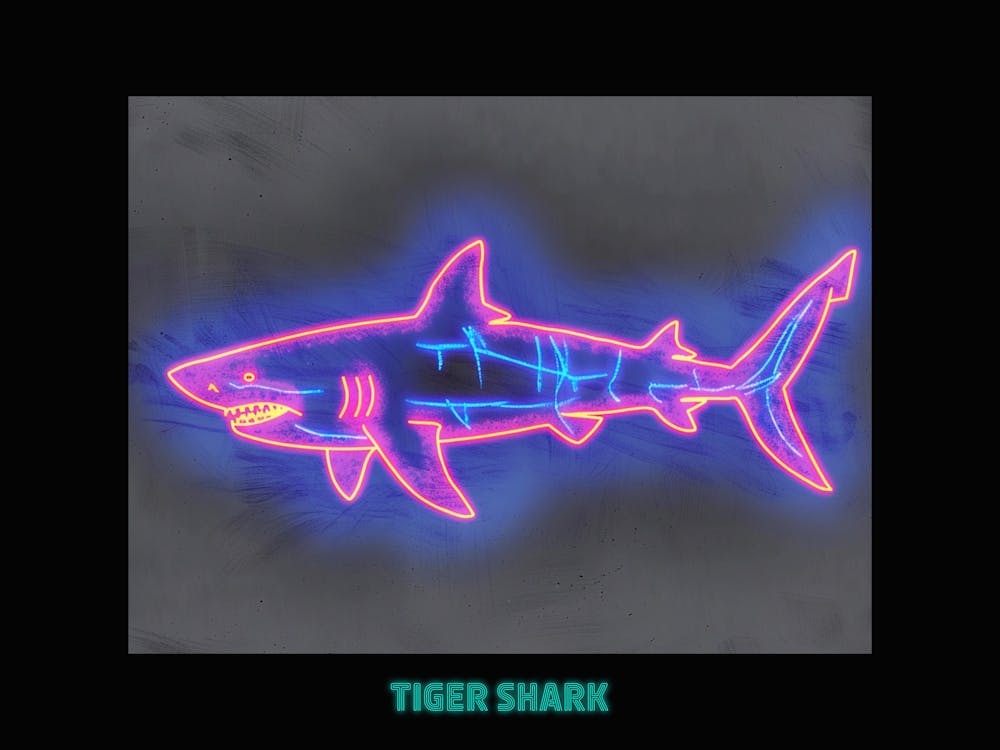 Pink Tiger Neon Shark 1 Poster