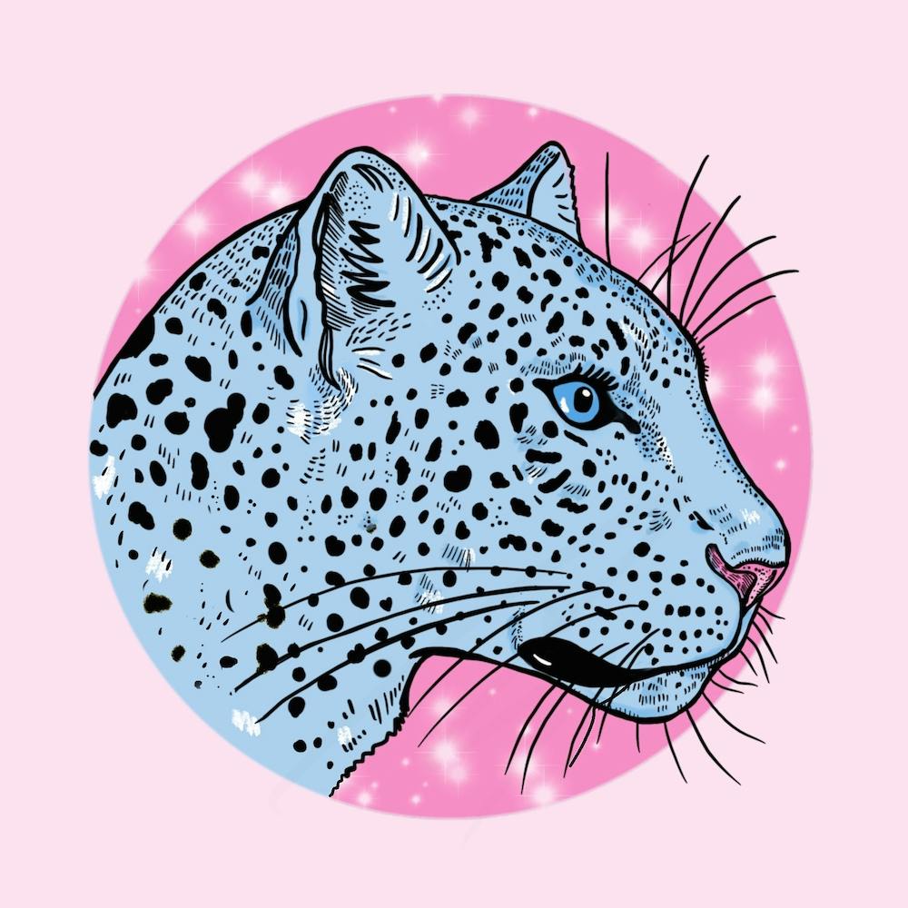 Snow Leopard Square