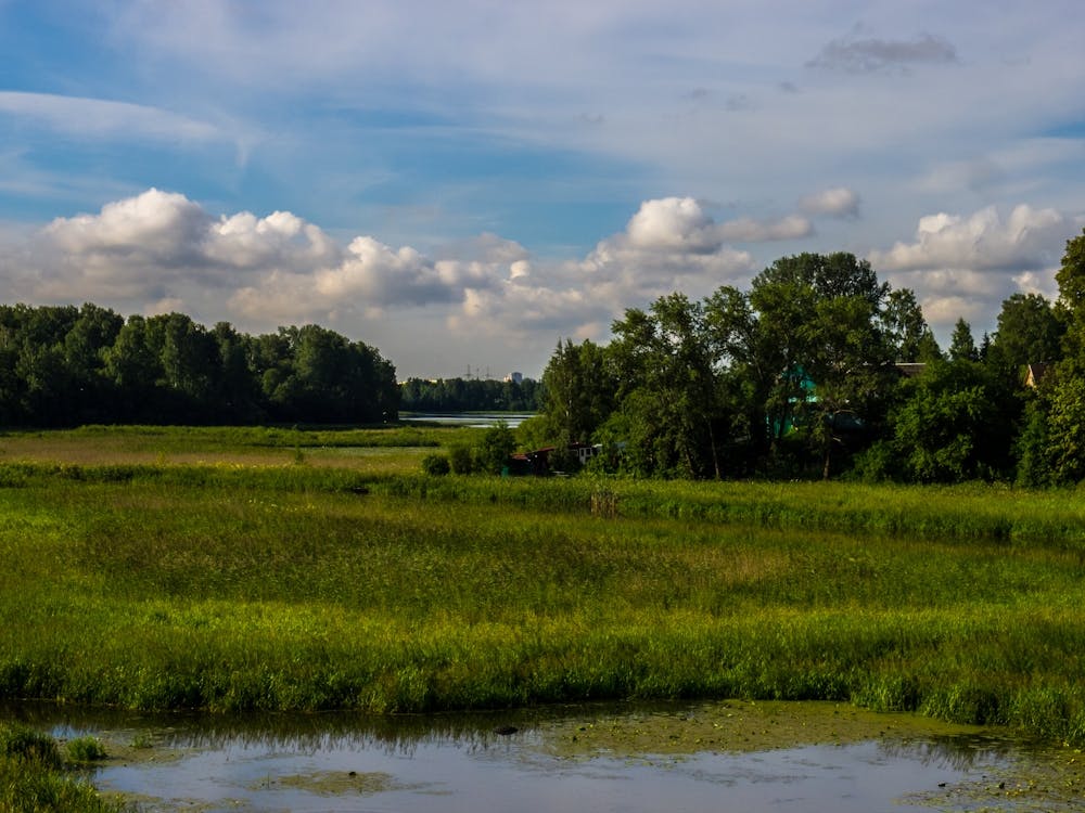 Russian Countryside 1