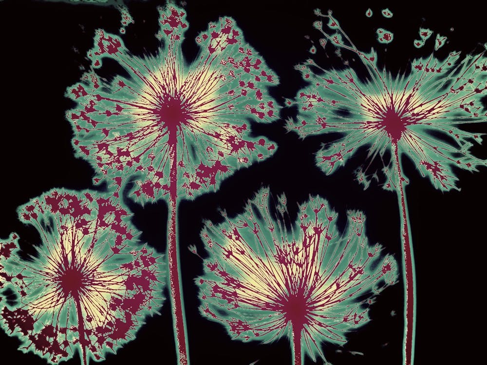 Teal abstract allium