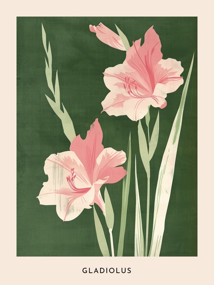 Pink & Green Gladiolus 1 Flower Poster