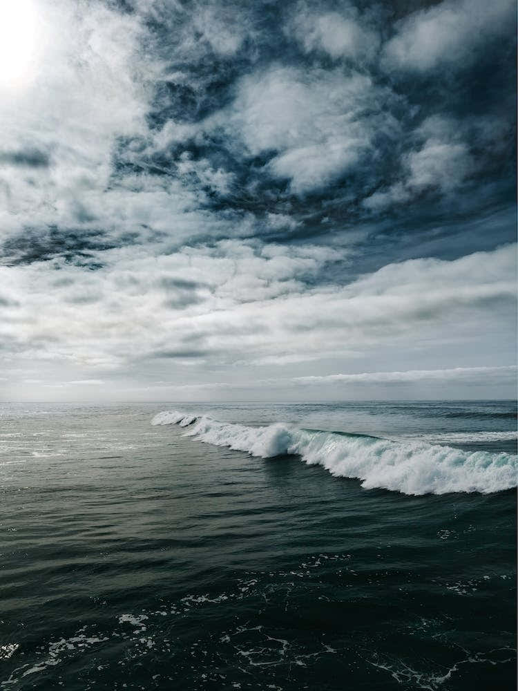 Ocean Beach San Diego II