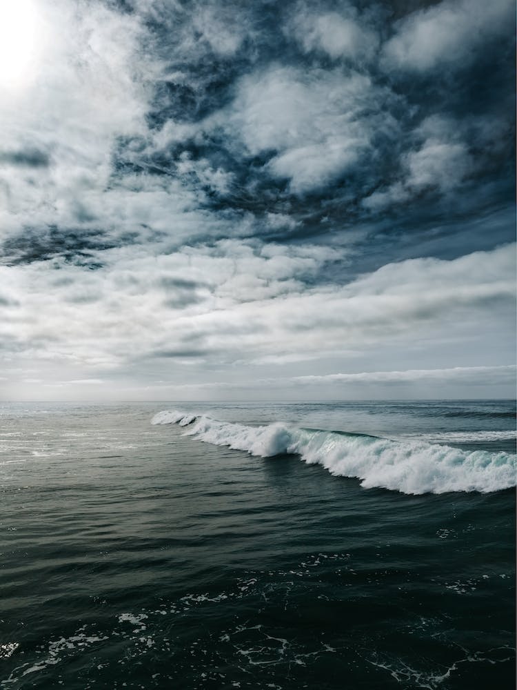 Ocean Beach San Diego II