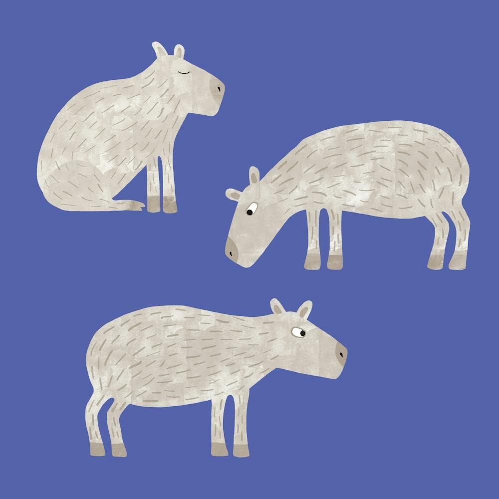 Three Capybara on a Blue Background