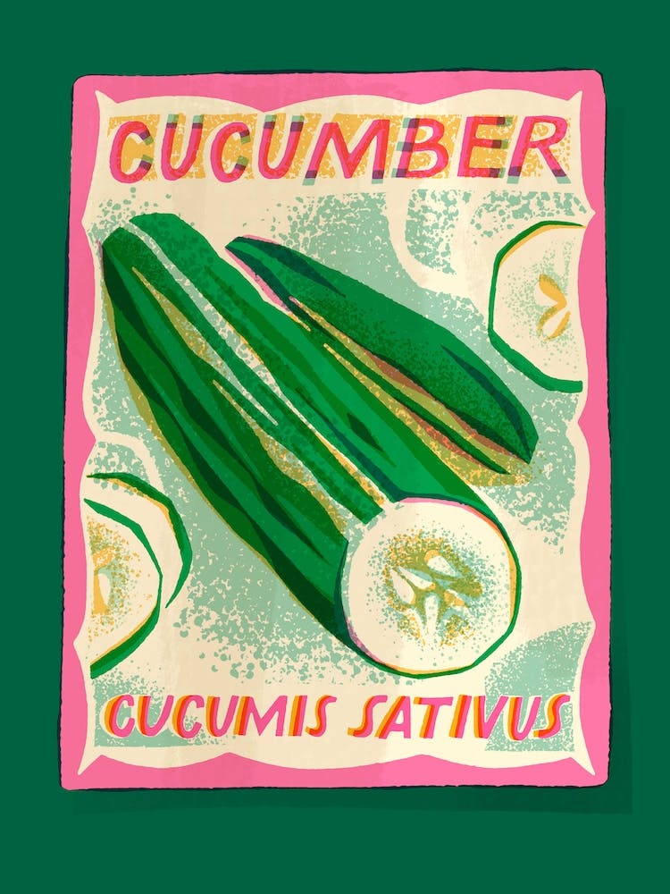 Cucumber Seed Packet