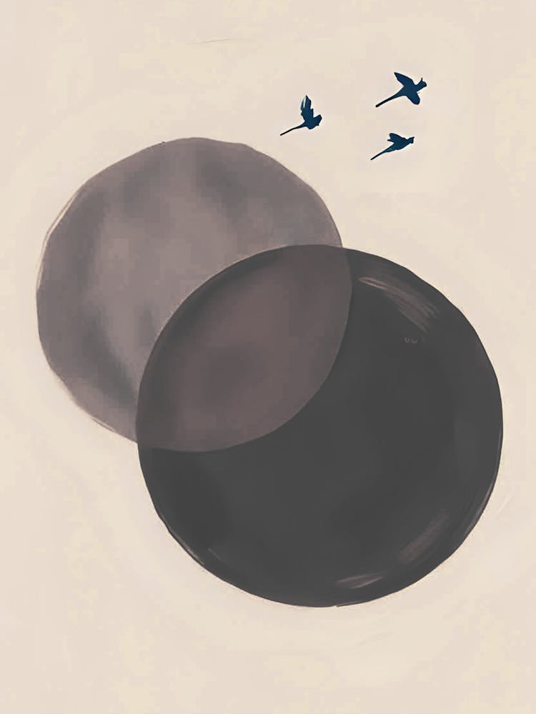 Oiseaux dans le Ciel 2