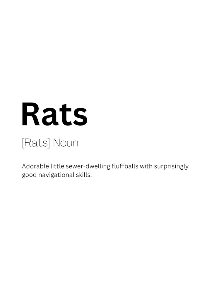 Ratten Definition Bedeutung
