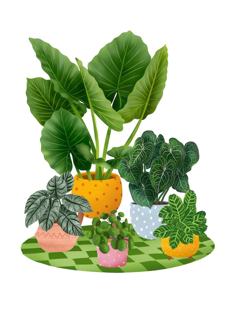Colourful Potted Plant 3