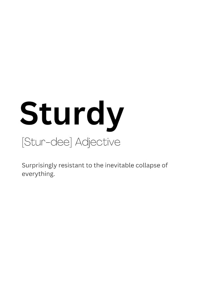 Sturdy Definition Meaning