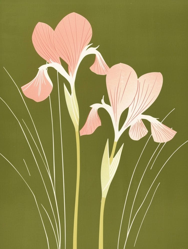 Pink & Green Iris 2