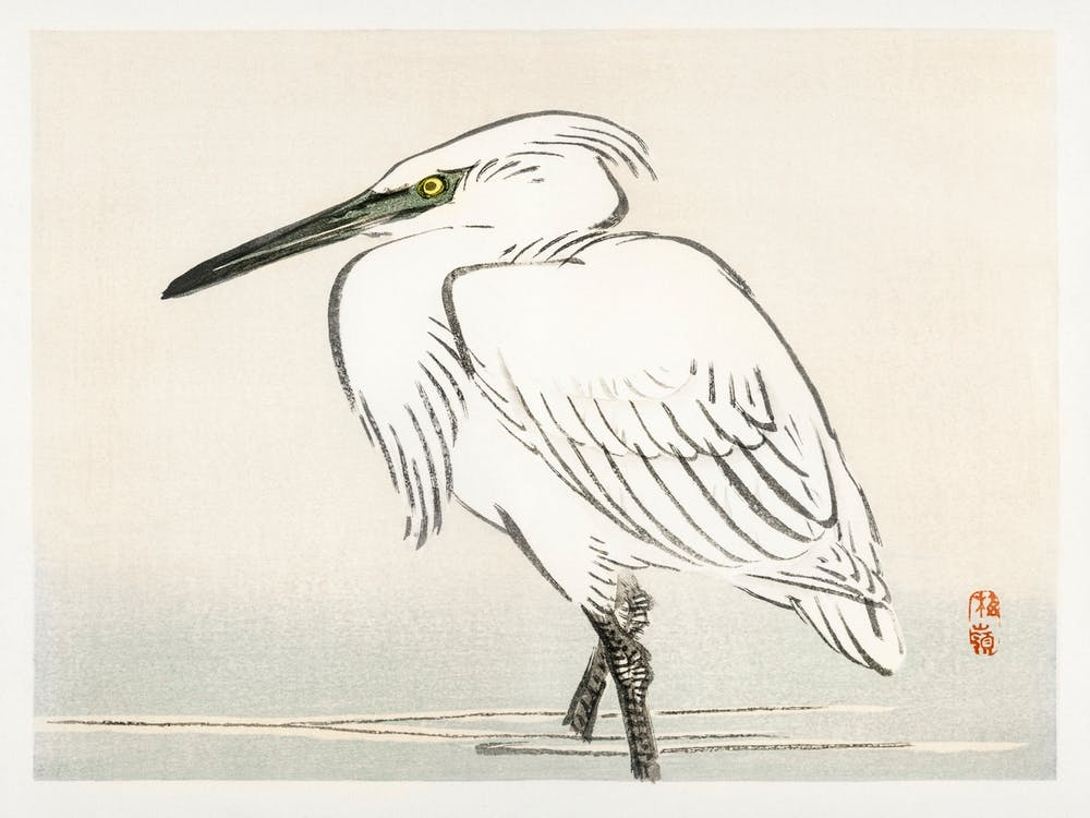 Snowy Egret, Kōno Bairei