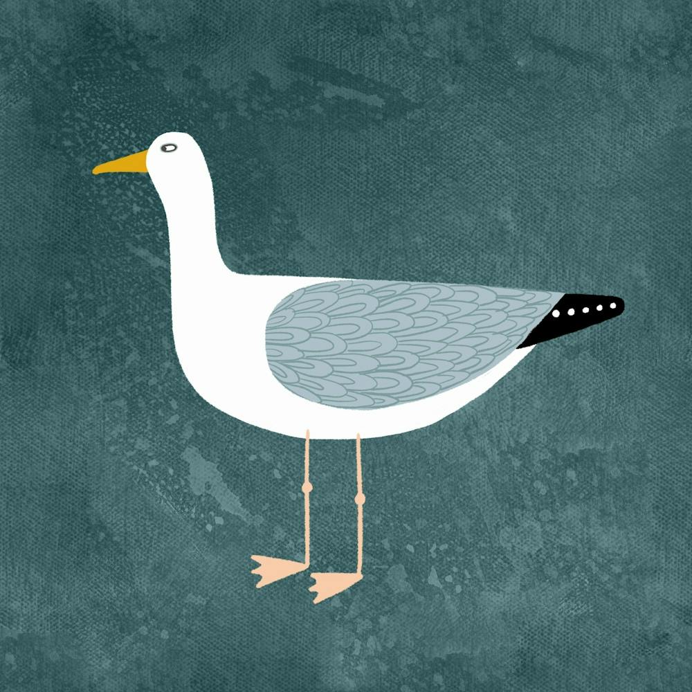 Cheeky Seagull on Teal Green