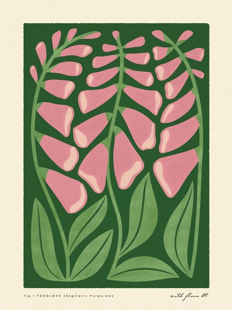 Foxglove Modern-Retro Pink and Green Wild Flower