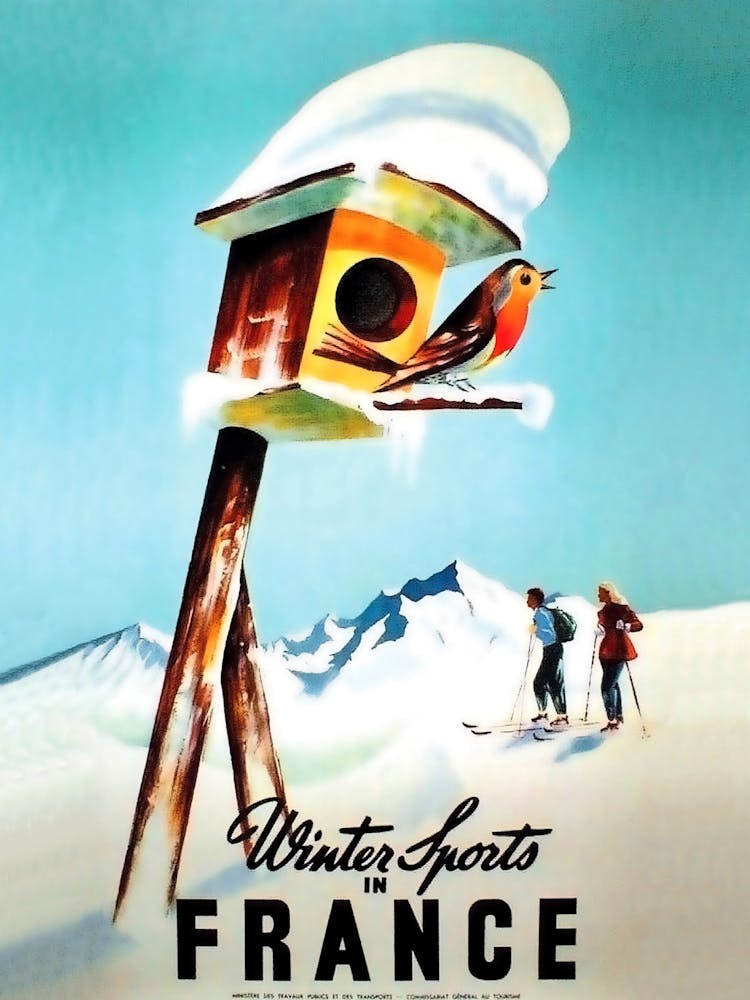 Winter Sports In France