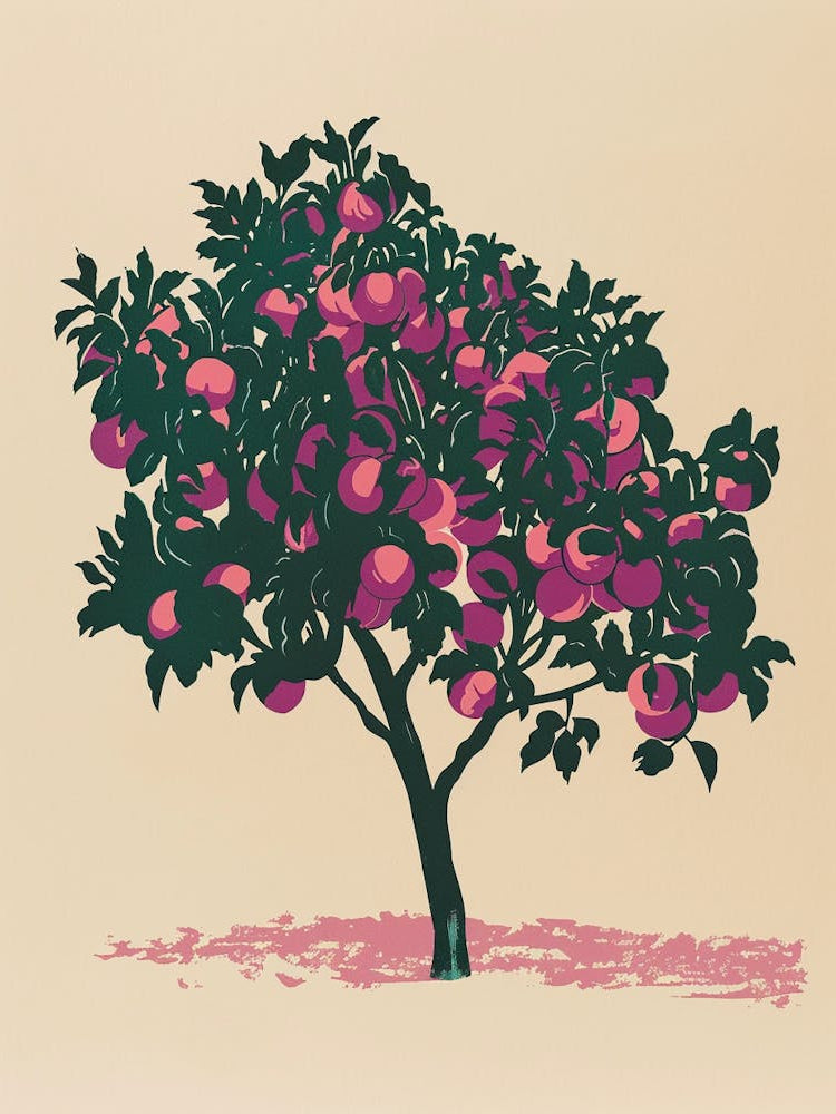 Plum Tree Colourful Illustration 2