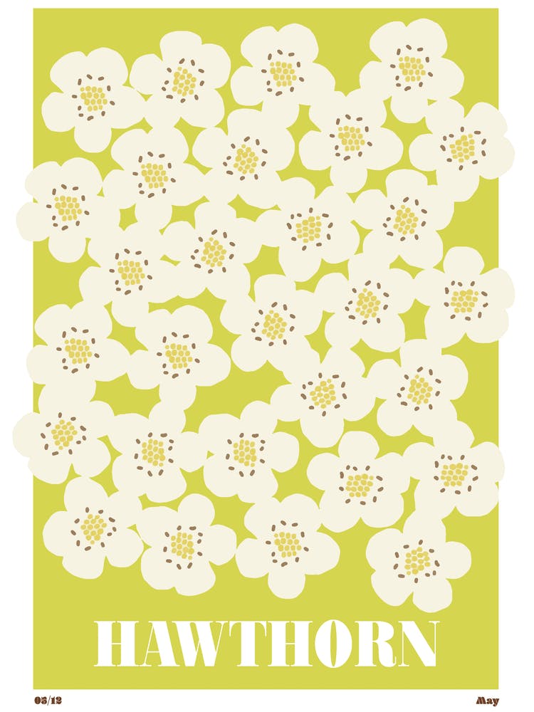 May Birth Month Flower