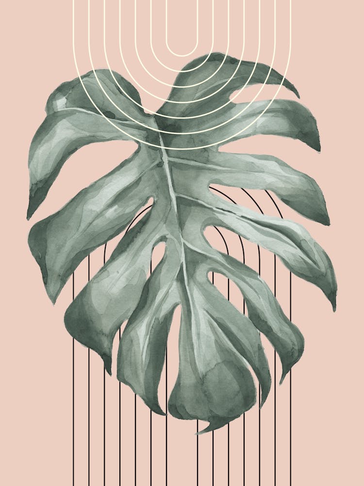 Monstera Leaf 1