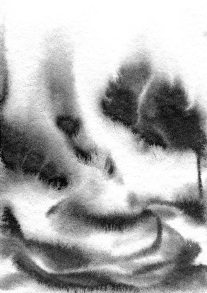 Majestic Monochrome Watercolour 6