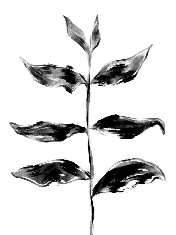 Black Plant One