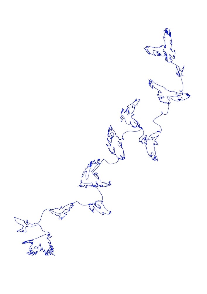 Blue Connected in Flight