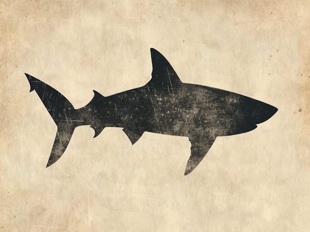 Bigeye Thresher Shark Grey Silhouette 1