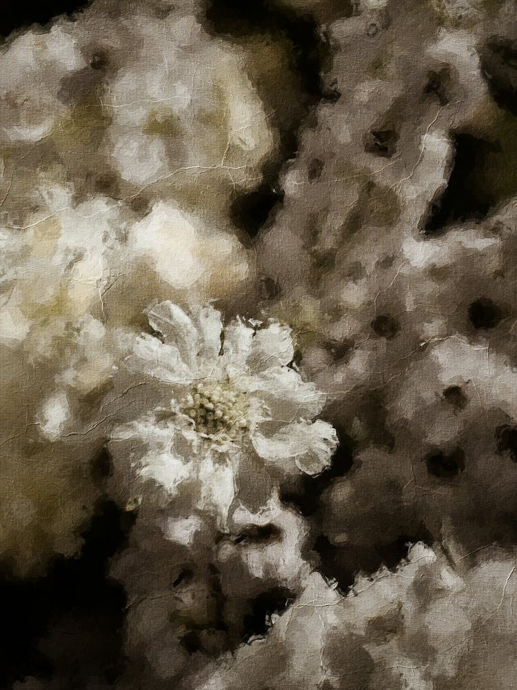 Neutral Floral Oil Painting