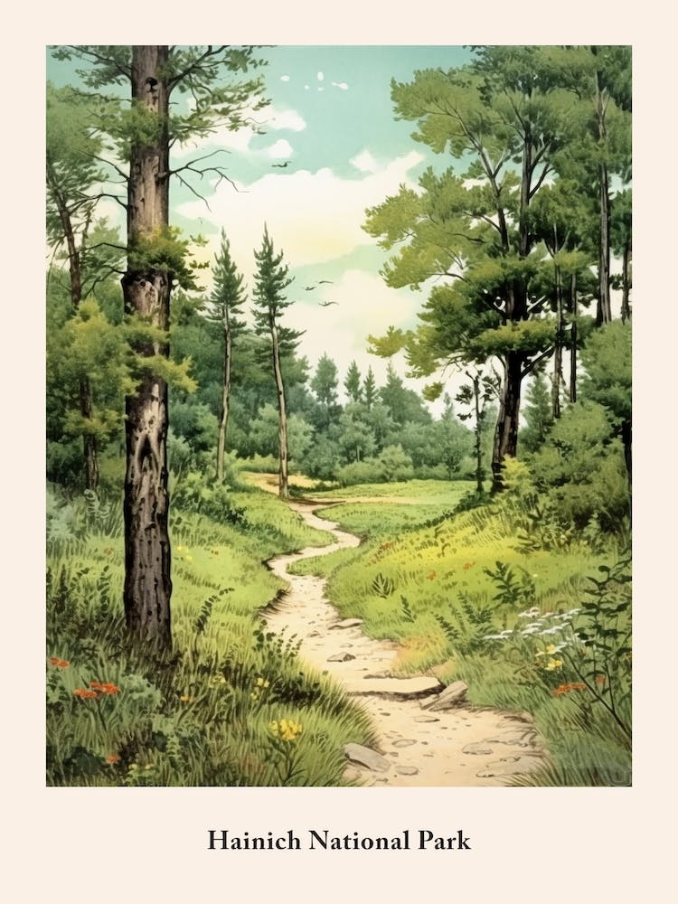 Hainich National Park