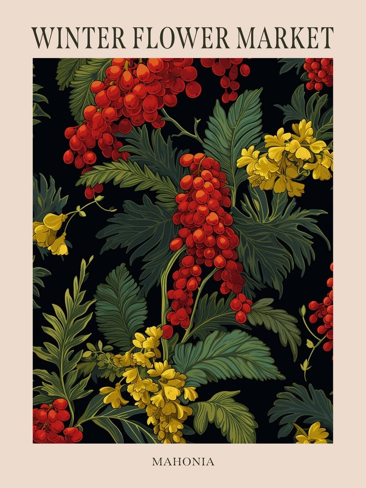 Mahonie 3 Winterblumenmarkt Poster
