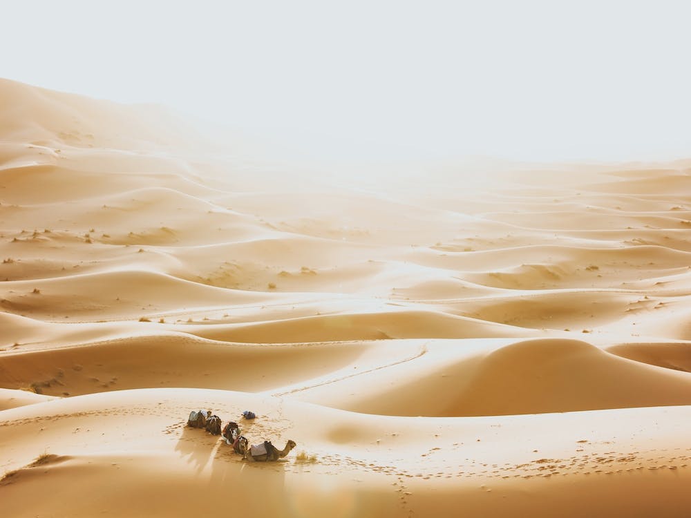 Merzouga Morocco