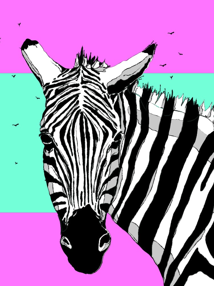 Zebra 1