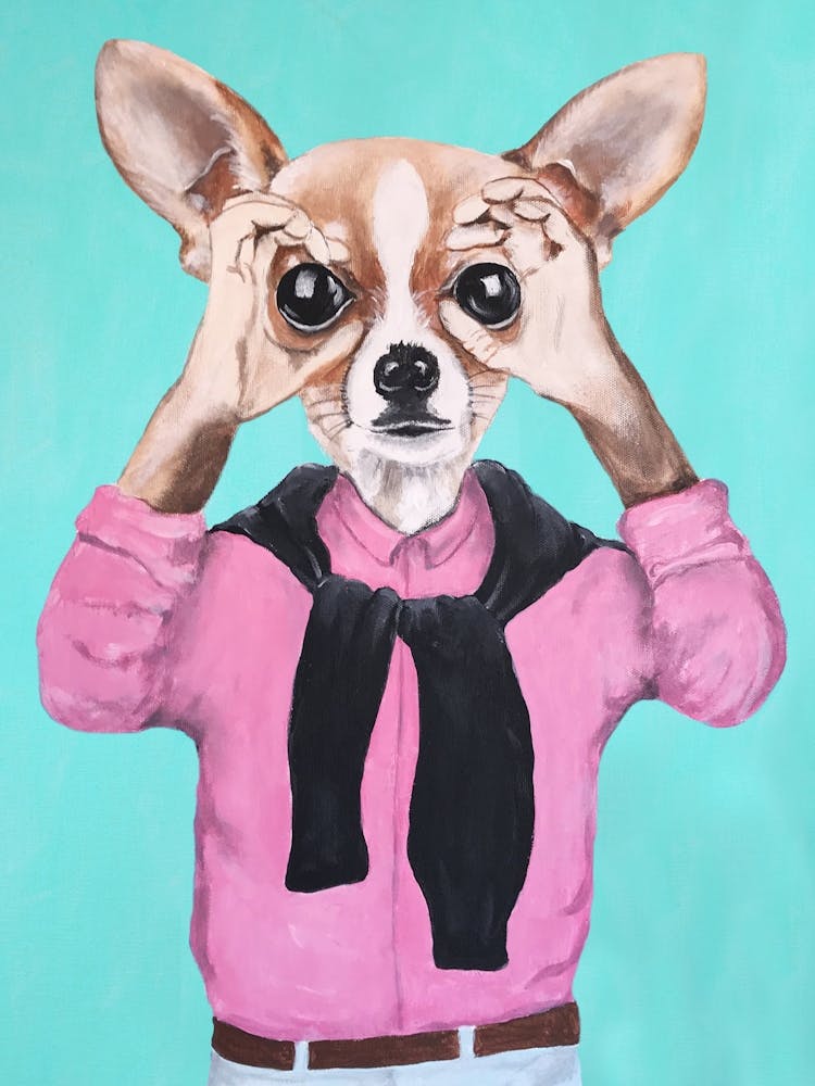 Chihuahua Is Watching You