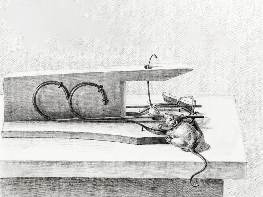 Mouse In A Mousetrap, Jean Bernard