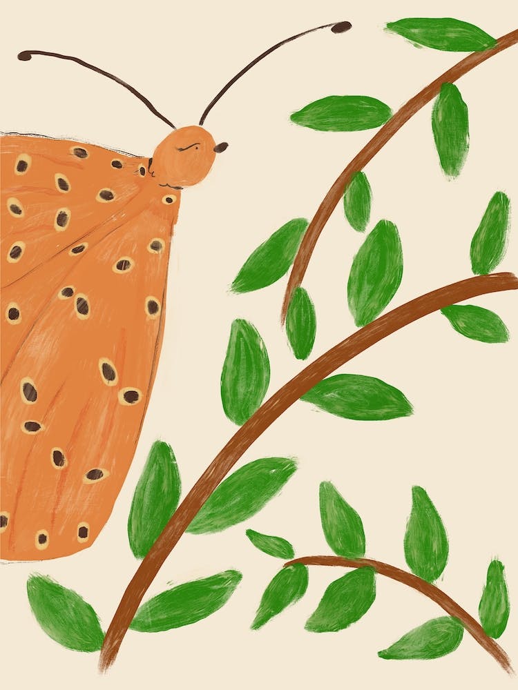 Moth