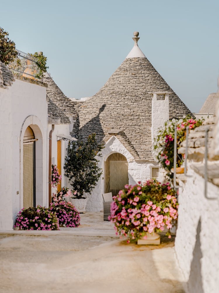 Trulli Häuser mit lila Blumen in Alberobello, Apulien, Italien | Architektur- und Reisefotografie 1