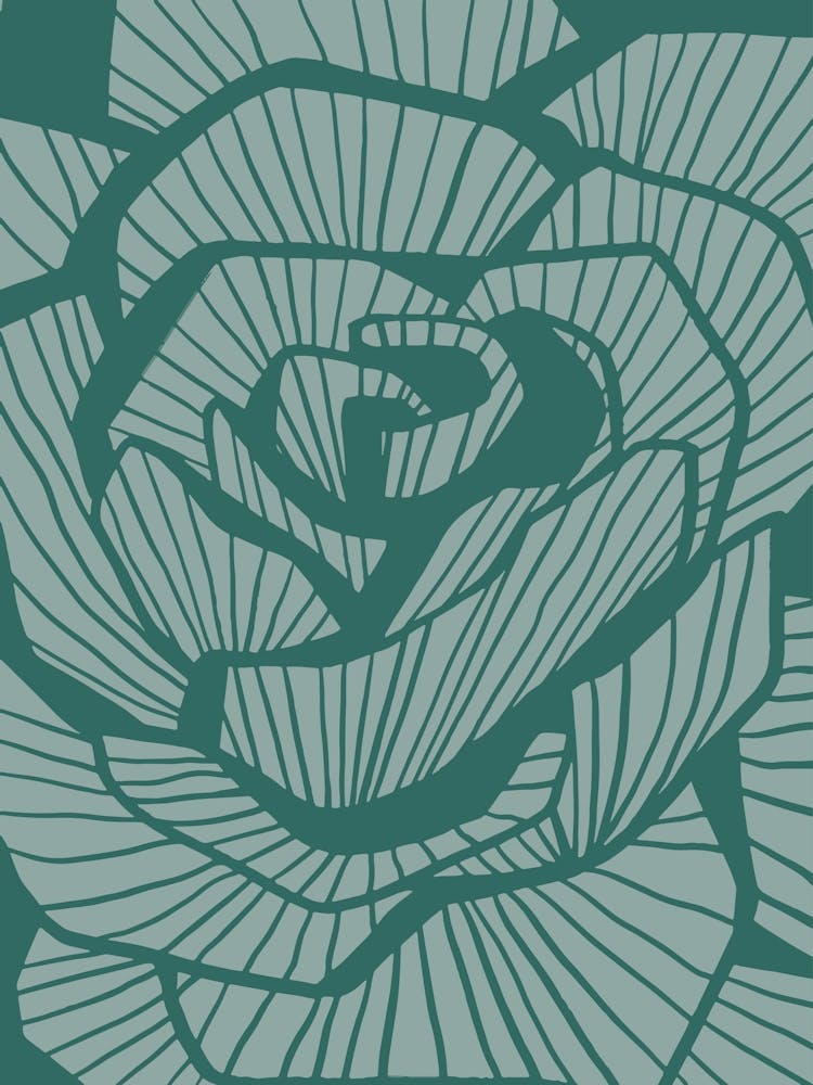 Rose Line Art