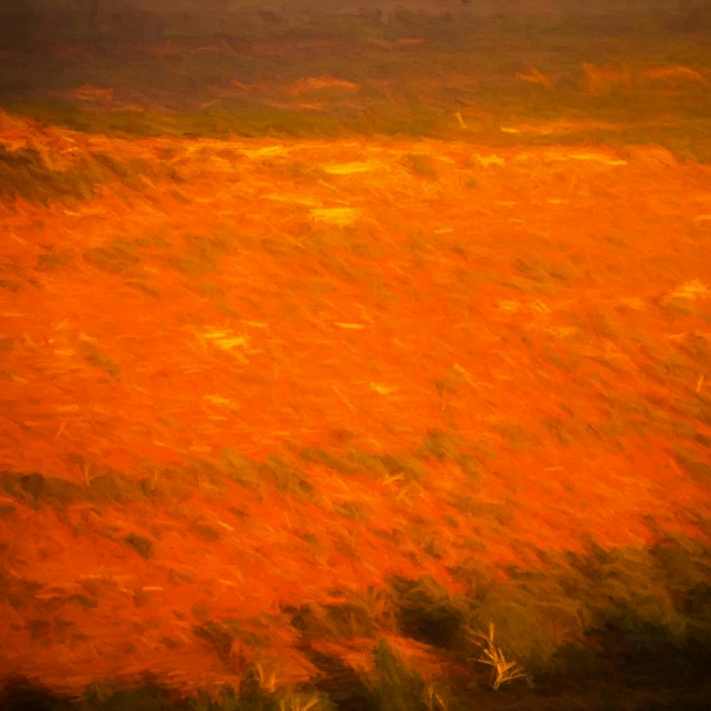 Kalbarri Scrub Australia