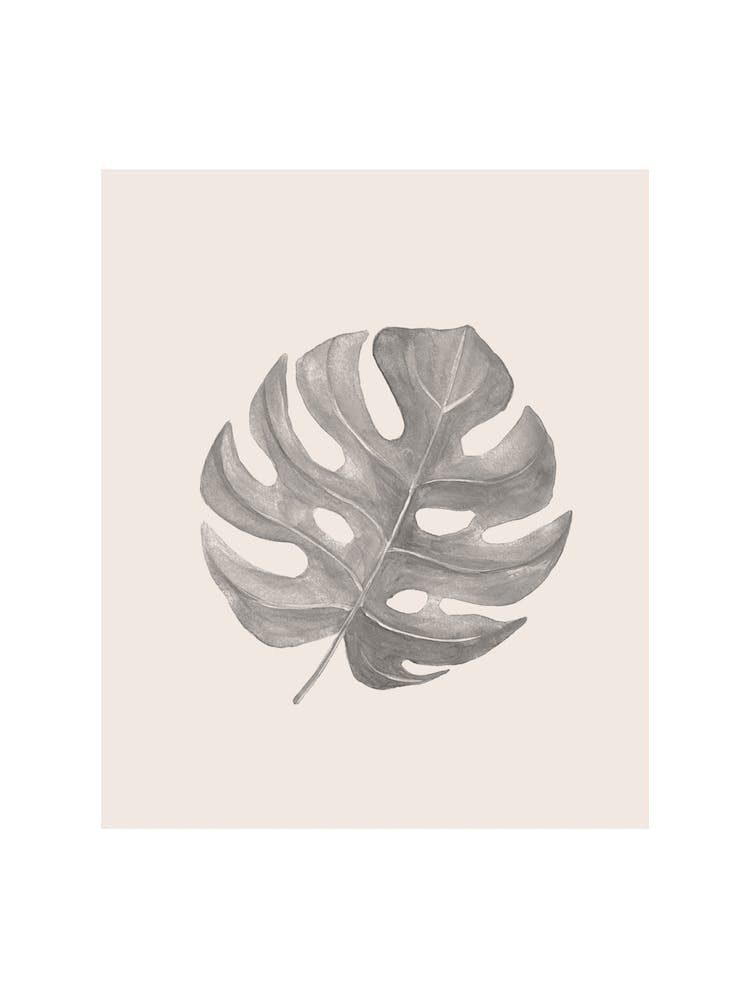 Neutral Monstera Leaf