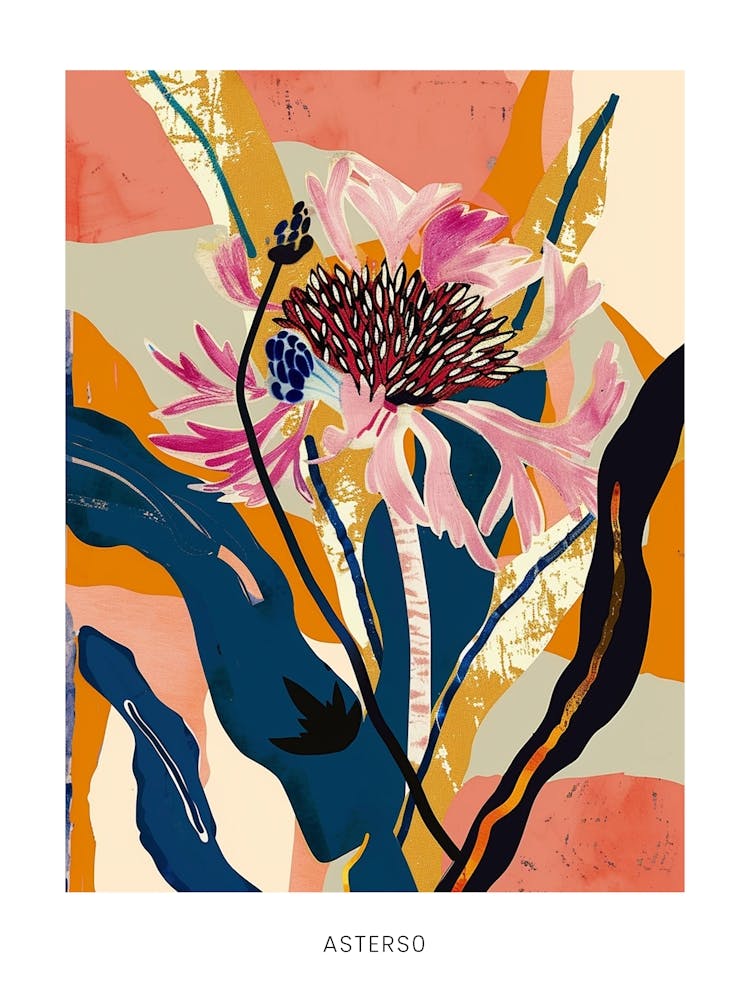 Colourful Flower Illustration Poster Asters 10