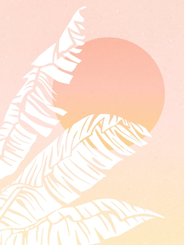 Pink Tropical Sunset