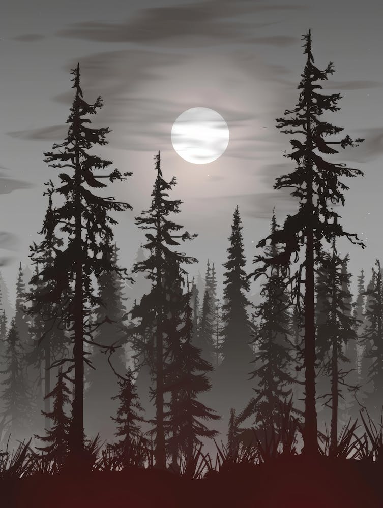 Moonlit Forest