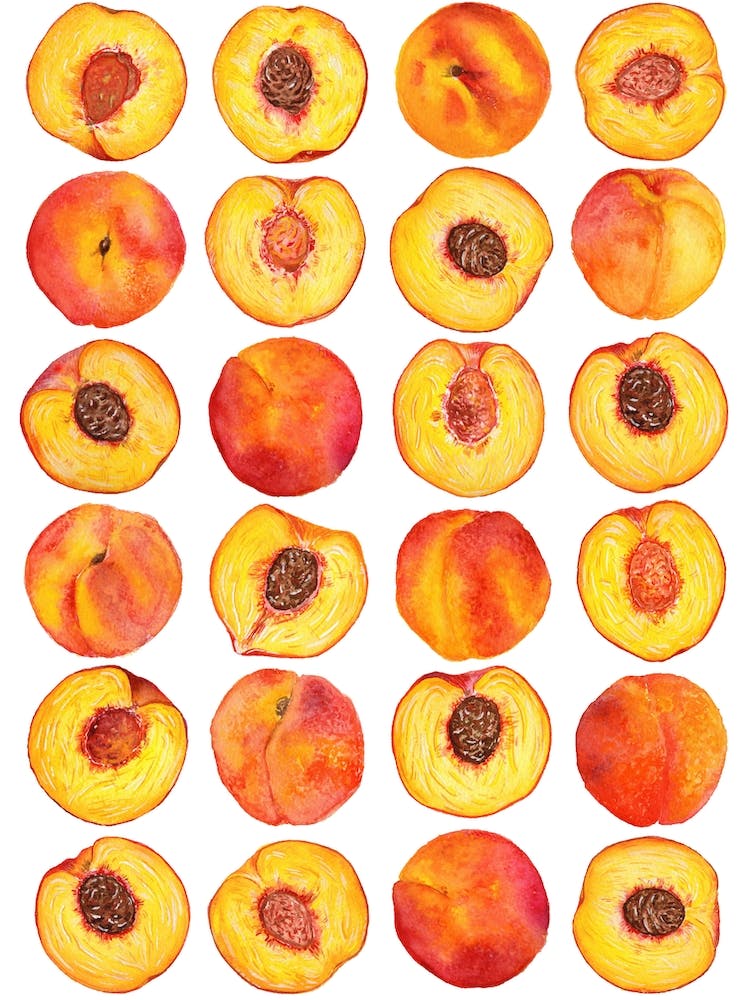 Repeat Pattern Peach