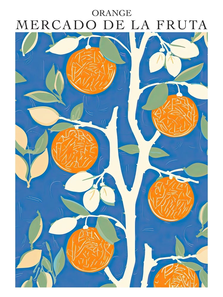 Mercado De La Fruta Orange Illustration 6 Poster